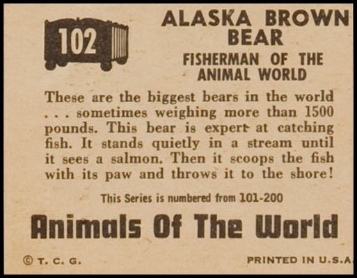 1951 Topps Animals Of The World